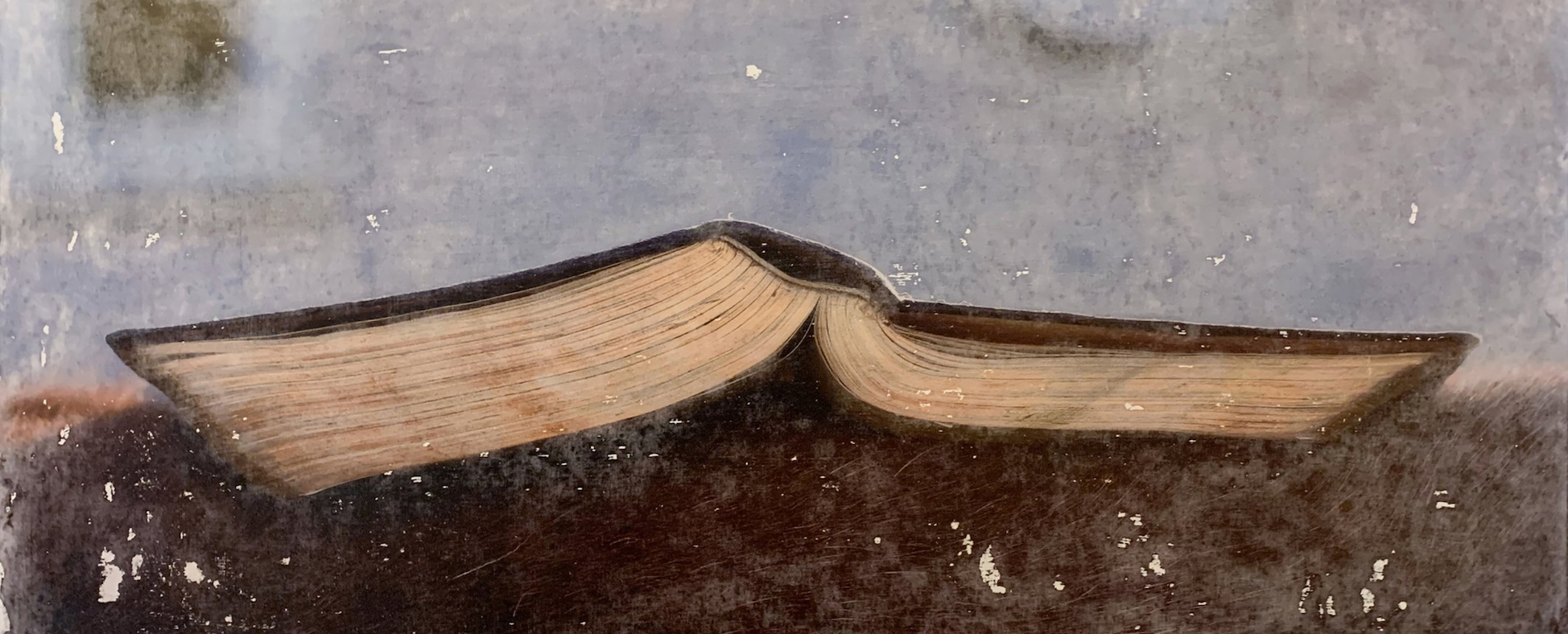 A worn open book spread like wings — Shakespeare's Wings