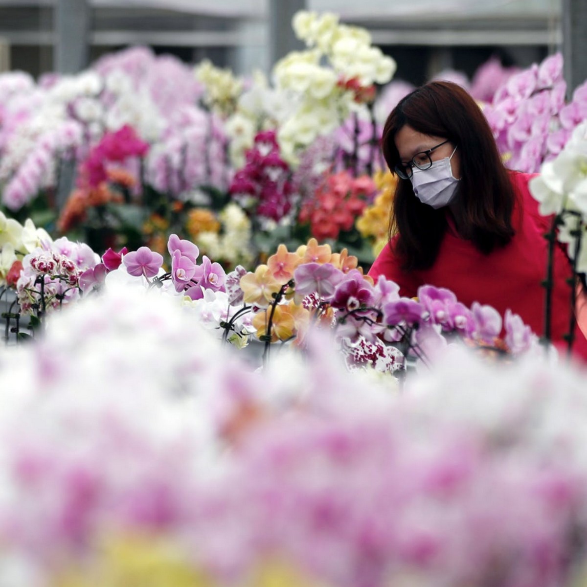 Coronavirus should give us hope that we are able to tackle the climate crisis