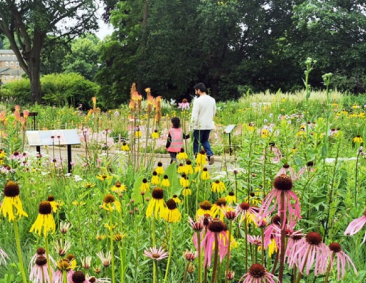 Sustainability at the Horniman Museum and Gardens